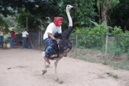 5994363123_2f7ee917e4