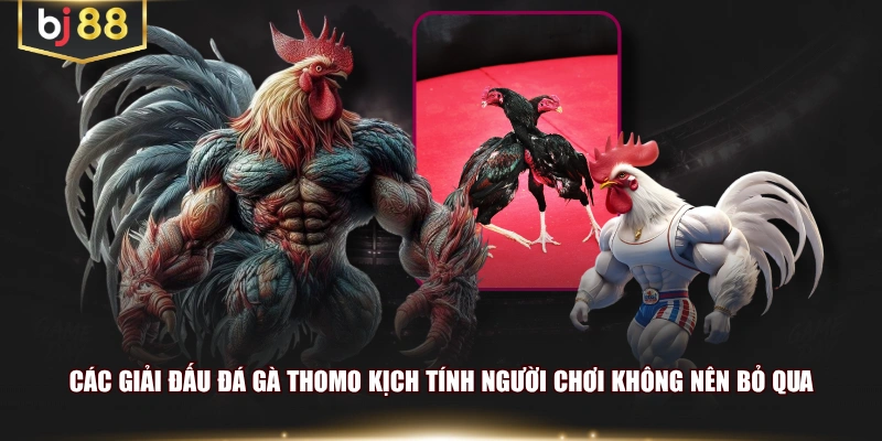 Các giải đấu đá gà Thomo kịch tính người chơi không nên bỏ qua