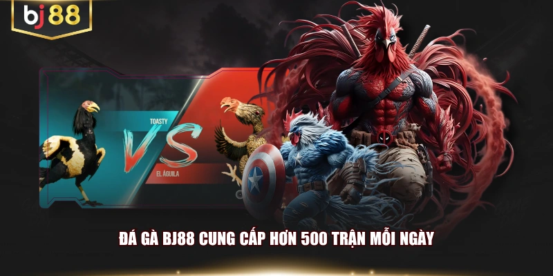 Đá Gà BJ88 cung cấp hơn 500 trận mỗi ngày