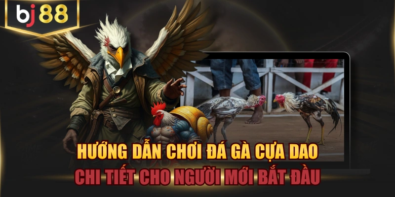 Hướng Dẫn Chơi Đá Gà Cựa Dao Chi Tiết Cho Người Mới Bắt Đầu